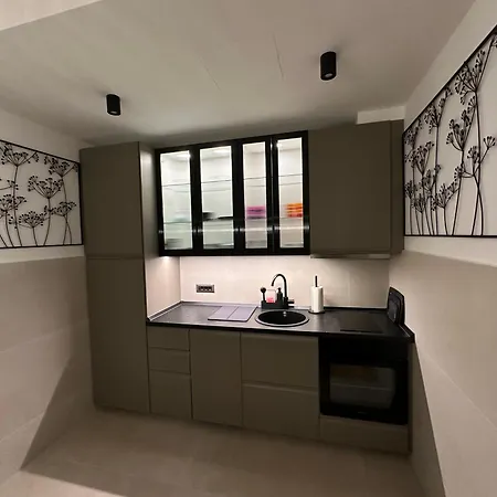 Apartman Ll65 Novi Dorcol *